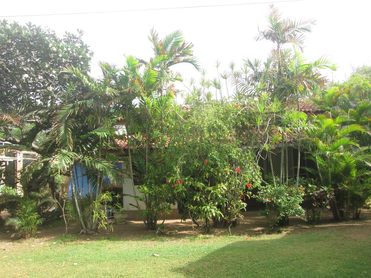 Cottage Garden Bungalows Moratuwa Eksteriør bilde